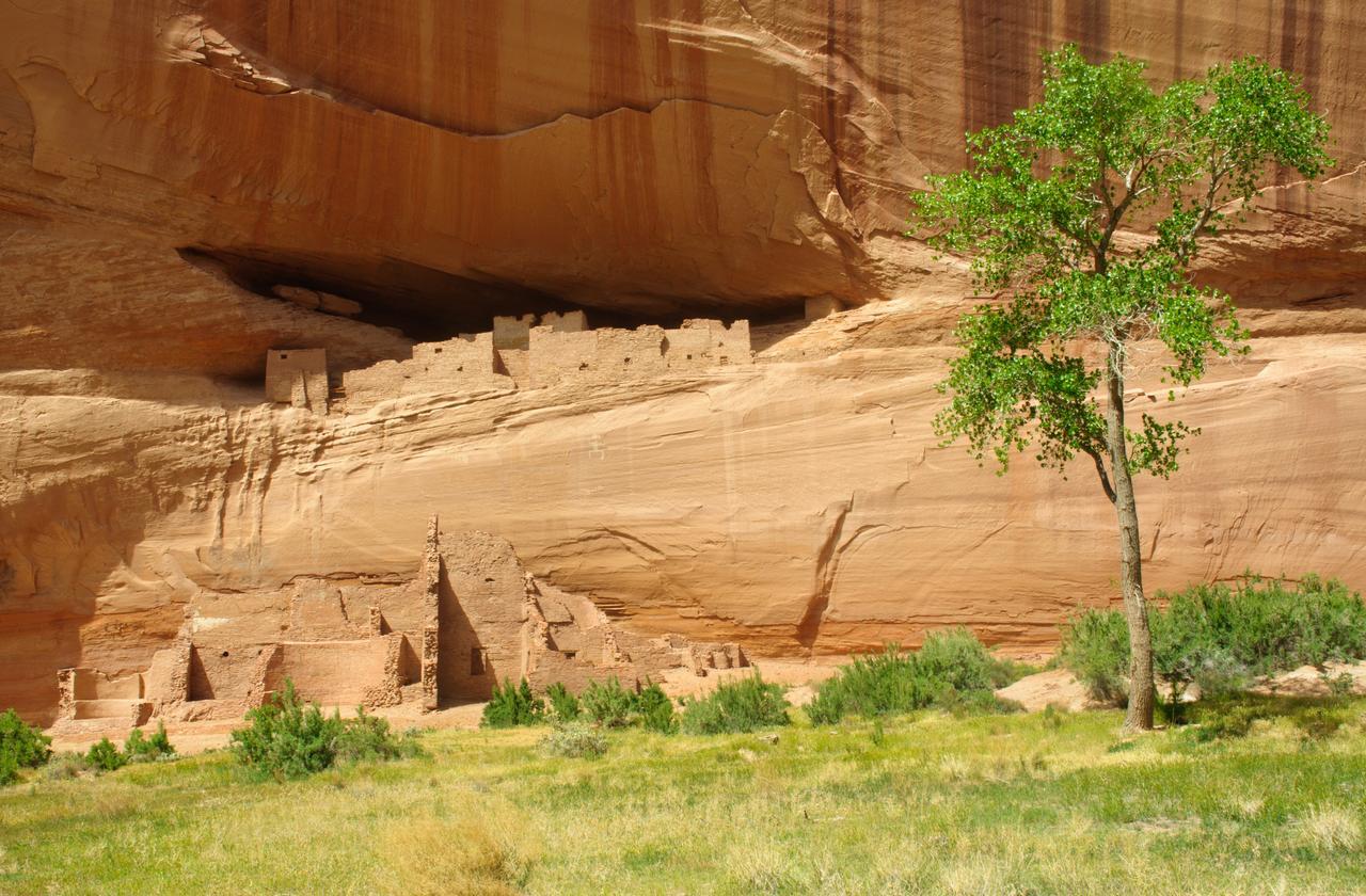 Thunderbird Lodge Chinle Exterior foto